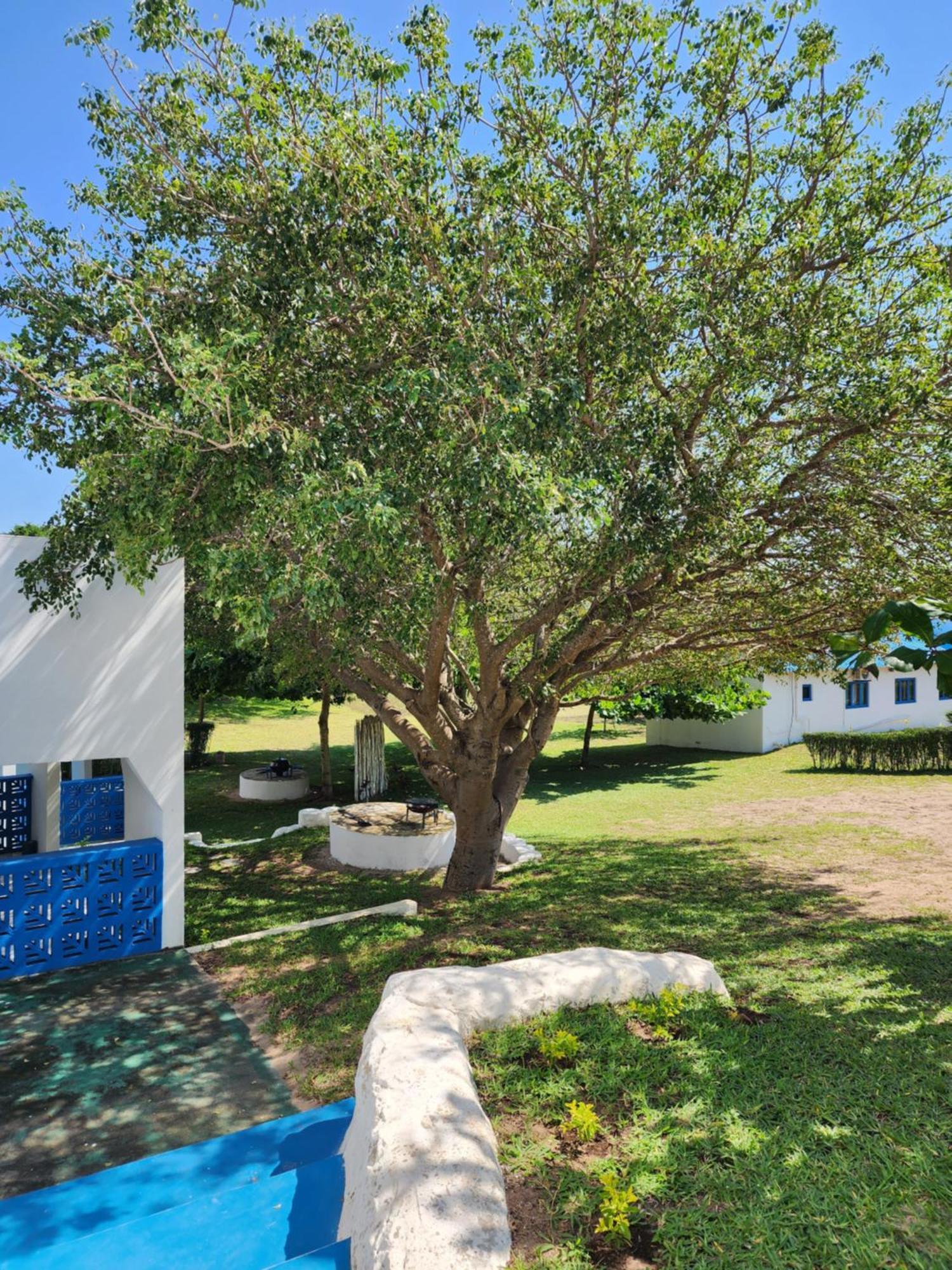 Serenity Nhabanga, Bilene Vila Praia Do Bilene المظهر الخارجي الصورة